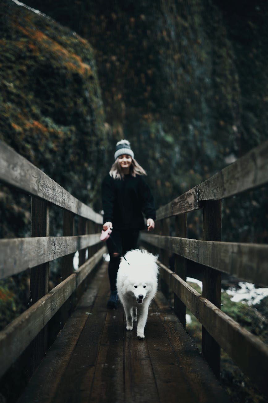 woman walking on wooden bridge with her white dog